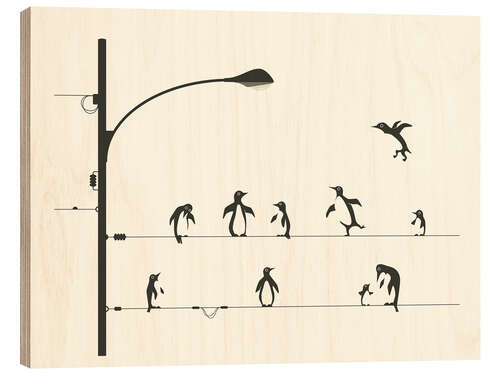 Stampa su legno PENGUINS ON A WIRE