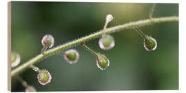 Tableau en bois rain buds