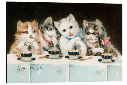 Aluminium print Four Cat Girlfriends Having a Coffee Party