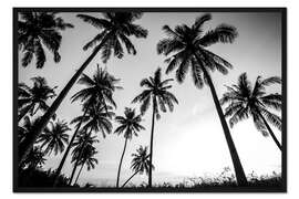 Gerahmter Kunstdruck Silhouetten von Palmen