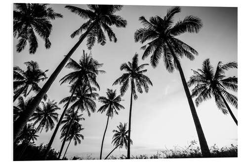 Foam board print Silhouettes of palm trees