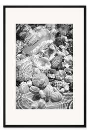 Gerahmter Kunstdruck Muscheln unter Wasser