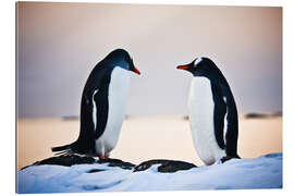 Galleriprint Two identical penguins