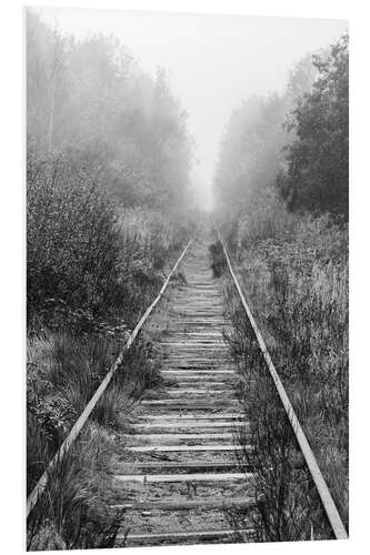 PVC-taulu Railroad in foggy forest