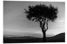 Stampa su vetro acrilico African tree in Kenya