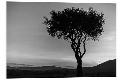 Print på skumplade African tree in Kenya