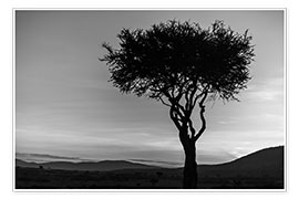 Poster African tree in Kenya
