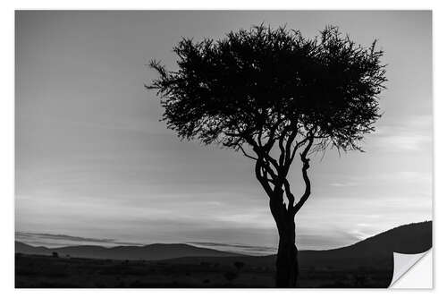 Wall sticker African tree in Kenya