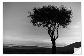 Selvklebende plakat African tree in Kenya