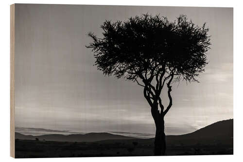 Wood print African tree in Kenya