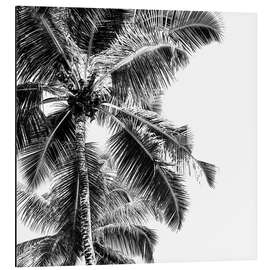 Magnettafel Hohe Palmen an einem tropischen Strand