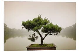 Magnettafel Japanischer Bonsai im Zen-Garten