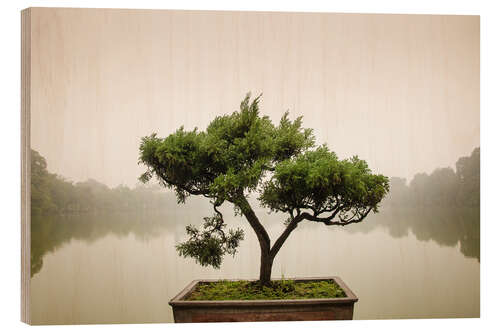 Wood print Japanese bonsai in zen garden