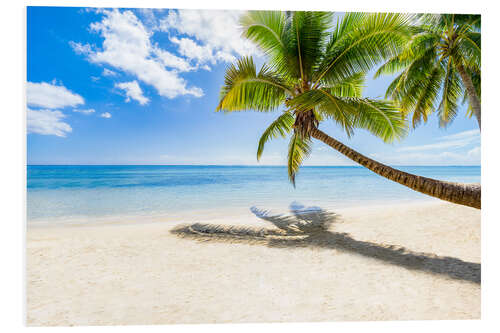 Foam board print Palm beach and sea in summer vacation