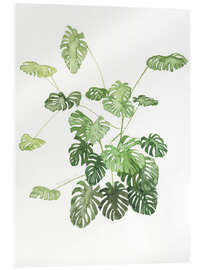 Acrylglas print Monstera