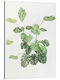 Aluminium print Monstera