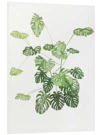 Foam board print Monstera