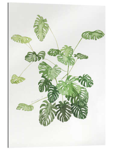 Gallery Print Monstera