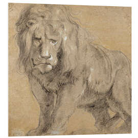 Foam board print Study of a lion