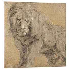Magnettafel Studie eines Löwen