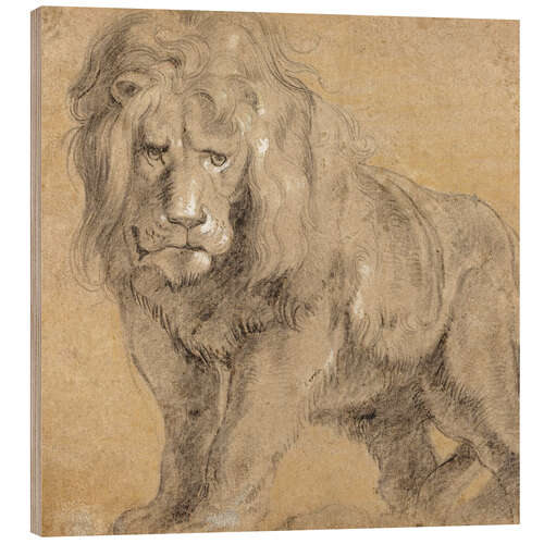 Trätavla Study of a lion