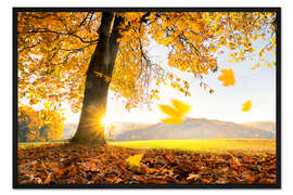 Gerahmter Kunstdruck Goldener Oktober im warmen Sonnenlicht