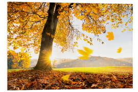 Hartschaumbild Goldener Oktober im warmen Sonnenlicht