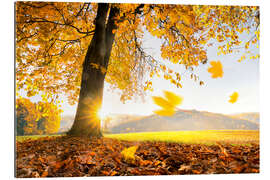 Gallery Print Goldener Oktober im warmen Sonnenlicht