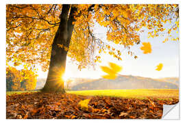 Wandsticker Goldener Oktober im warmen Sonnenlicht