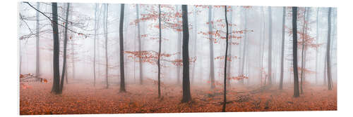 PVC-tavla Autumn panorama with red autumn leaves in the forest