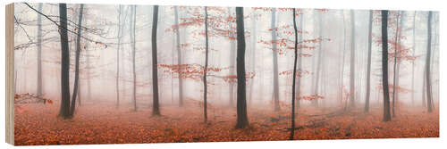 Wood print Autumn panorama with red autumn leaves in the forest