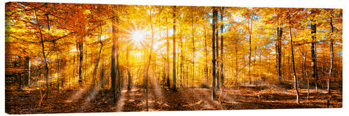 Lærredsbillede Autumnal forest panorama in sunlight