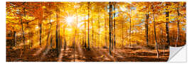 Selvklebende plakat Autumnal forest panorama in sunlight