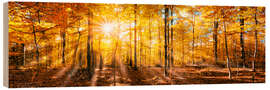 Wood print Autumnal forest panorama in sunlight