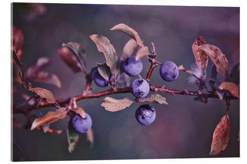 Acrylglasbild Herbstbeeren