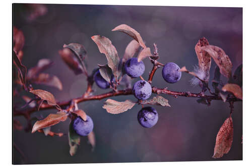 Tableau en aluminium Herbstbeeren