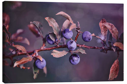 Lærredsbillede Herbstbeeren