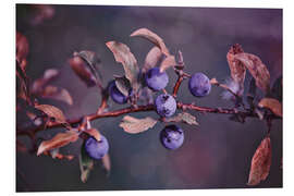 Foam board print Herbstbeeren