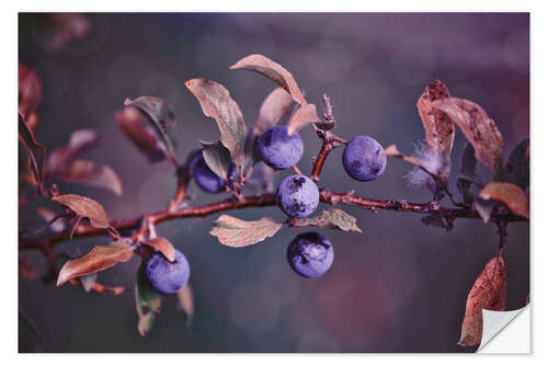 Vinilo para la pared Herbstbeeren