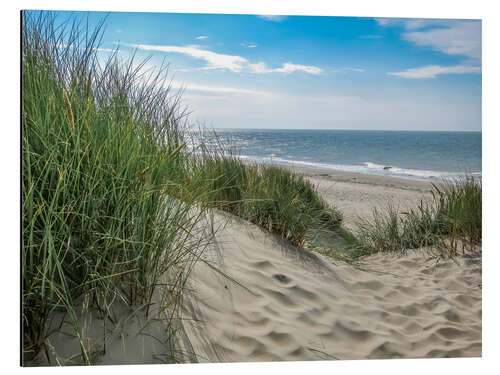 Cuadro de aluminio Summery dune landscape in Holland