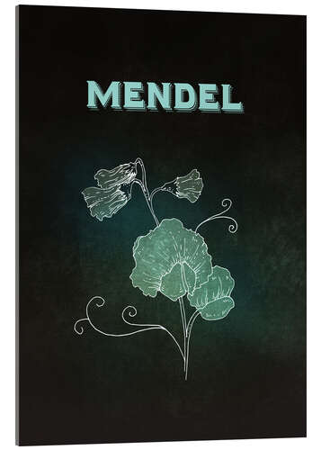 Acrylic print Mendel