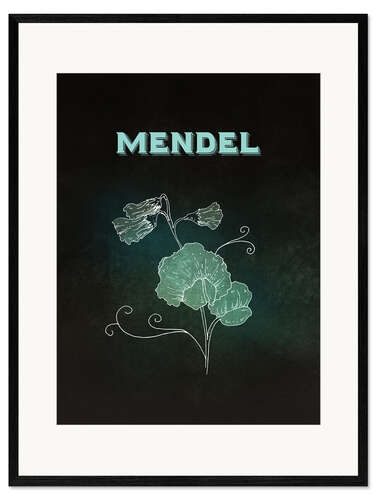Framed art print Mendel