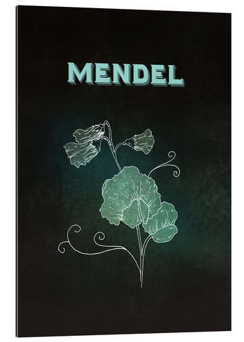 Gallery print Mendel