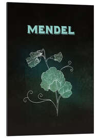 Gallery print Mendel