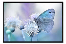 Gerahmter Kunstdruck Schmetterling Blau