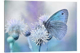 Gallery Print Schmetterling Blau