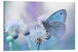Magnettafel Schmetterling Blau