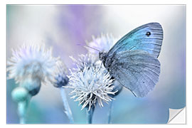 Selvklæbende plakat Butterfly blue