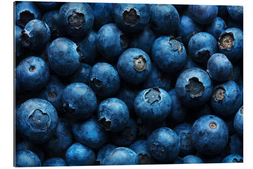 Gallery print Blueberries