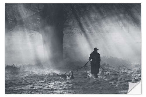 Sisustustarra The dog walker of Richmond park